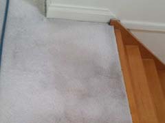 Carpet steam cleaning