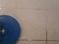 Tile and Grout Cleaning